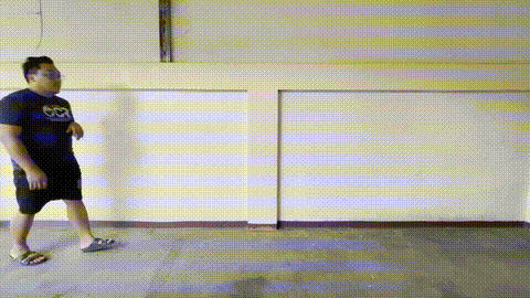 Abnormal Gait Analysis using Video-based Signal Processing